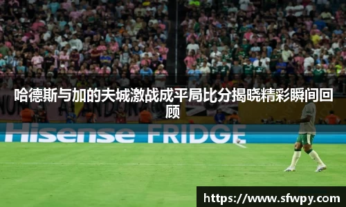 哈德斯与加的夫城激战成平局比分揭晓精彩瞬间回顾