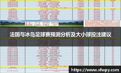 法国与冰岛足球赛预测分析及大小球投注建议